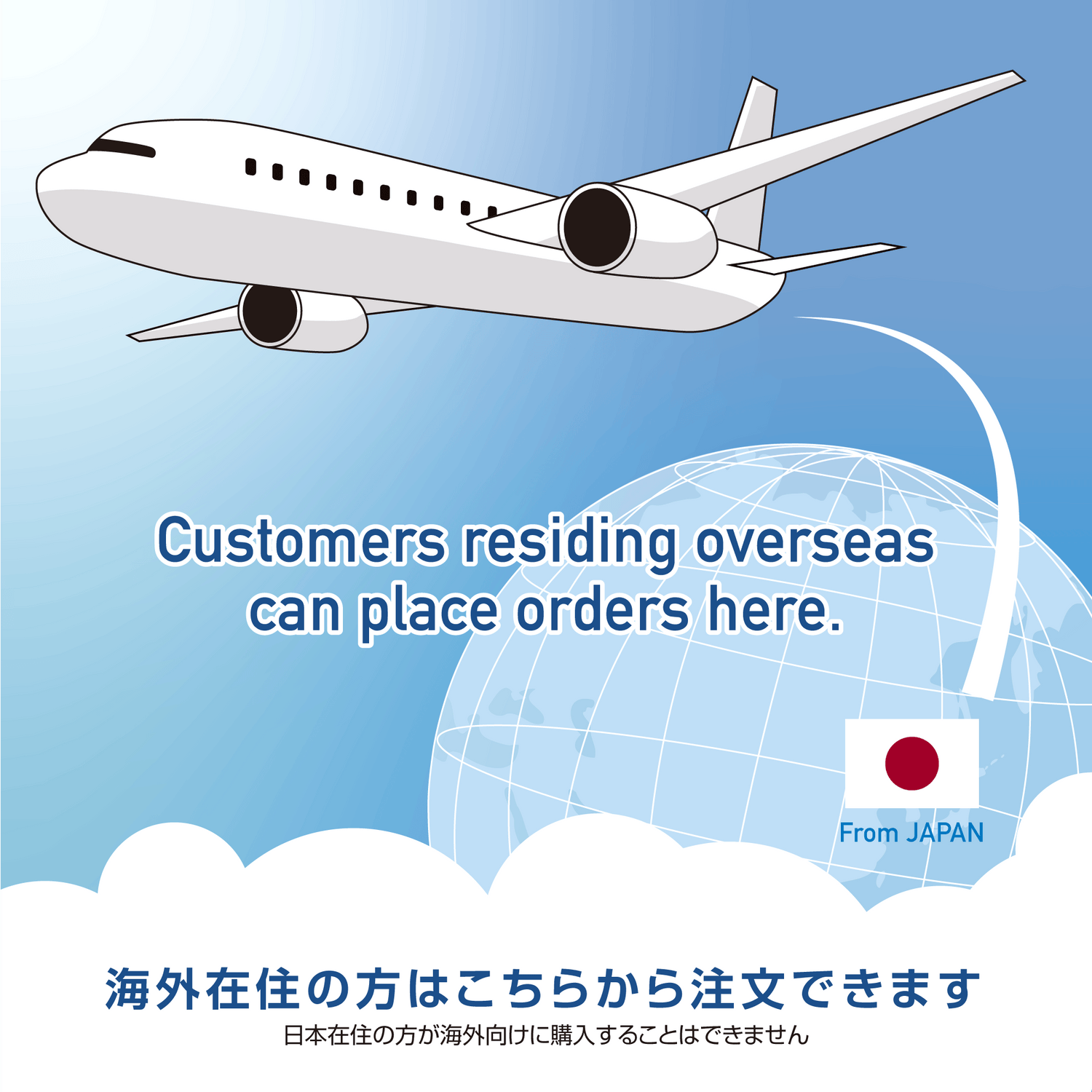For Overseas Customers